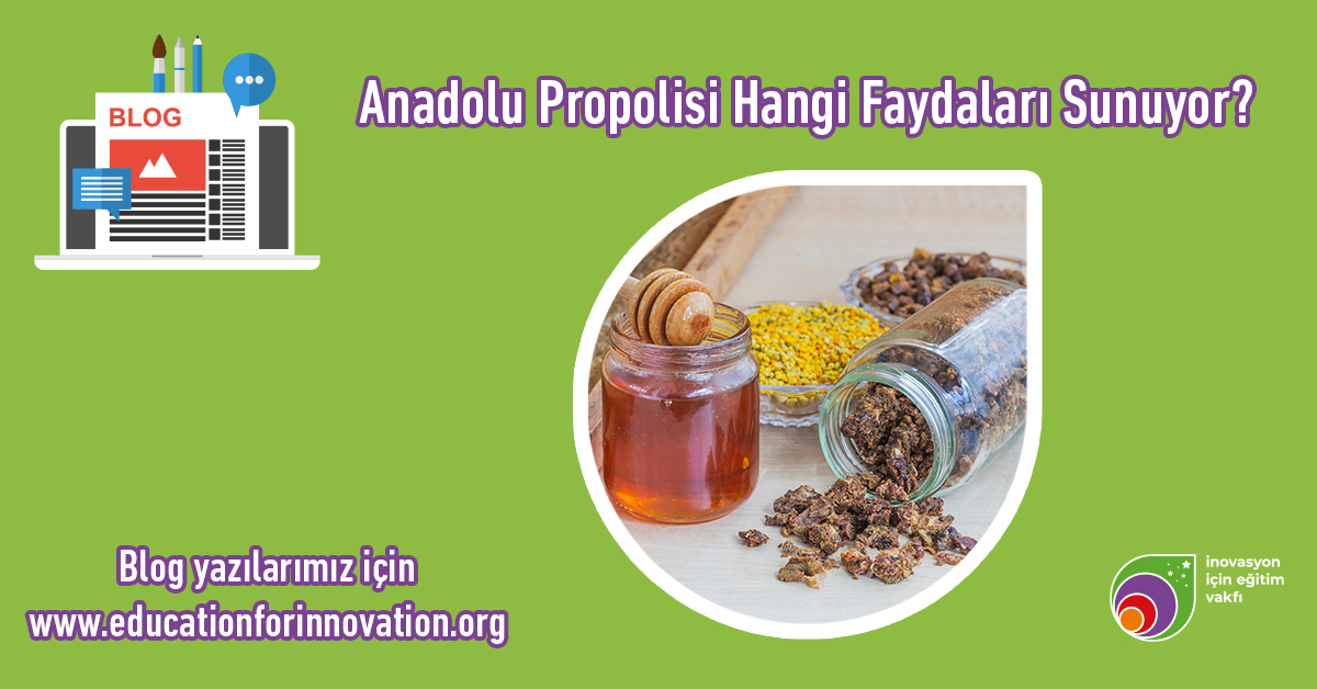 anadolu-propolisi-hangi-faydalari-sunuyor